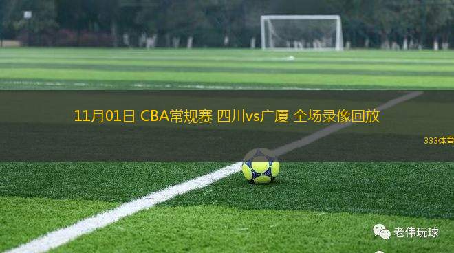 11月01日 CBA常規(guī)賽 四川vs廣廈 全場錄像回放