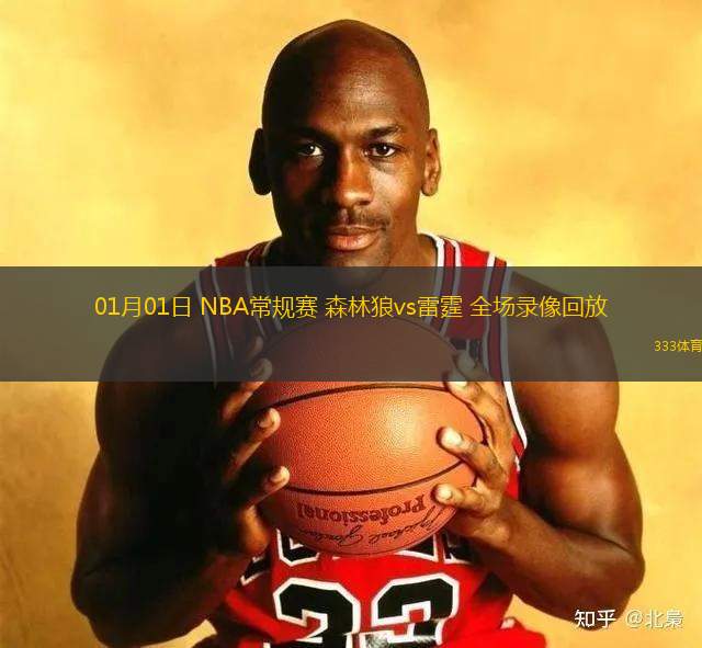 01月01日 NBA常規(guī)賽 森林狼vs雷霆 全場錄像回放