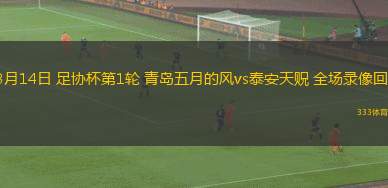 03月14日 足協(xié)杯第1輪 青島五月的風vs泰安天貺 全場錄像回放
