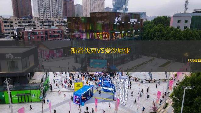 斯洛伐克VS愛沙尼亞