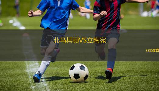 北馬其頓VS立陶宛