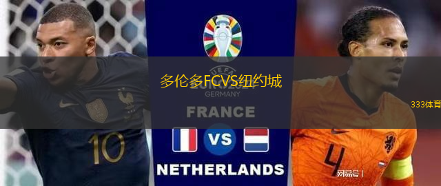 多倫多FCVS紐約城