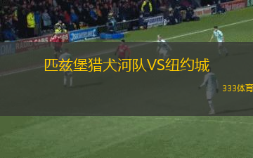 匹茲堡獵犬河隊(duì)VS紐約城