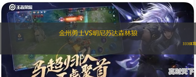 金州勇士VS明尼蘇達(dá)森林狼