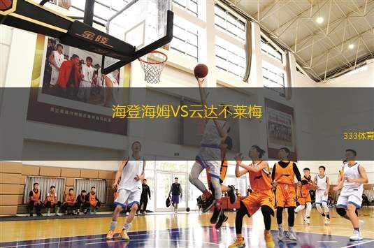 海登海姆VS云達(dá)不萊梅