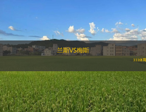 蘭斯VS梅斯