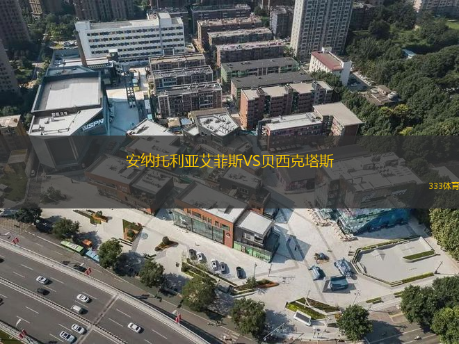 安納托利亞艾菲斯VS貝西克塔斯