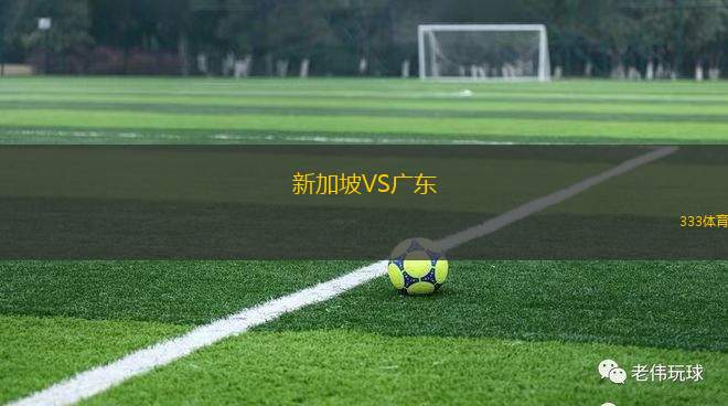 新加坡VS廣東