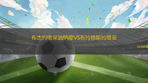 布杰約維采迪納摩VS布拉格斯拉維亞