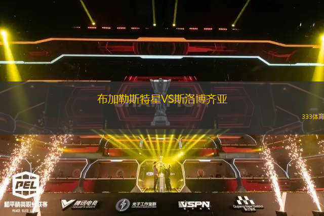 布加勒斯特星VS斯洛博齊亞
