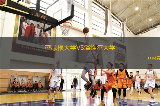 密歇根大學(xué)VS澤維爾大學(xué)