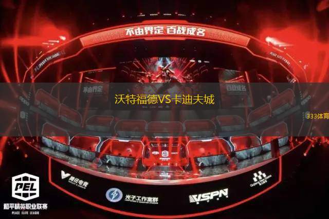 沃特福德VS卡迪夫城