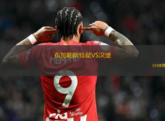 布加勒斯特星VS漢堡