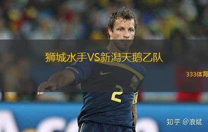 獅城水手VS新潟天鵝乙隊