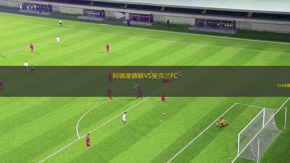 阿德萊德聯(lián)VS奧克蘭FC