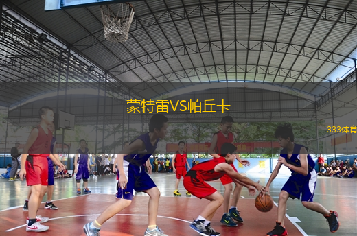 蒙特雷VS帕丘卡