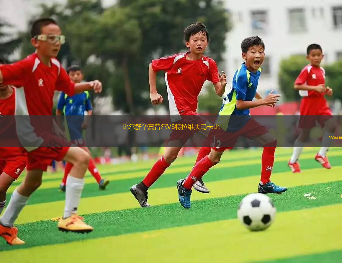 比爾舒華夏普爾VS特拉維夫馬卡比