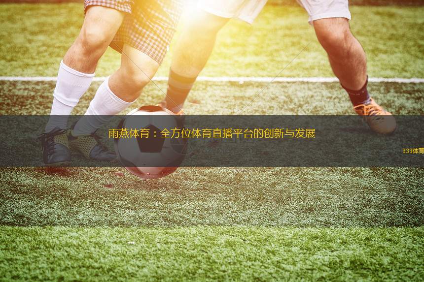 雨燕體育：全方位體育直播平臺的創(chuàng)新與發(fā)展