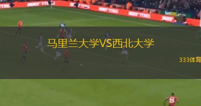 馬里蘭大學(xué)VS西北大學(xué)