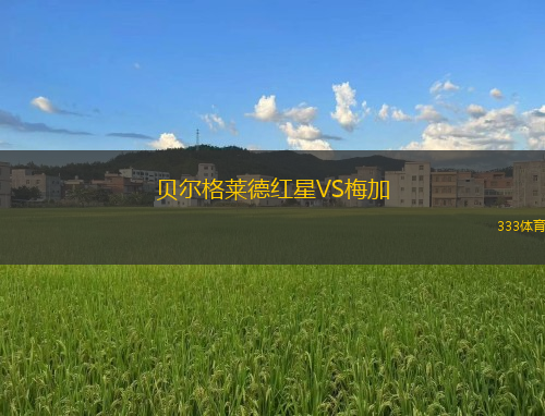 貝爾格萊德紅星VS梅加