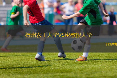 得州農(nóng)工大學(xué)VS密歇根大學(xué)