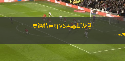 夏洛特黃蜂VS孟菲斯灰熊